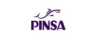 Pinsa
